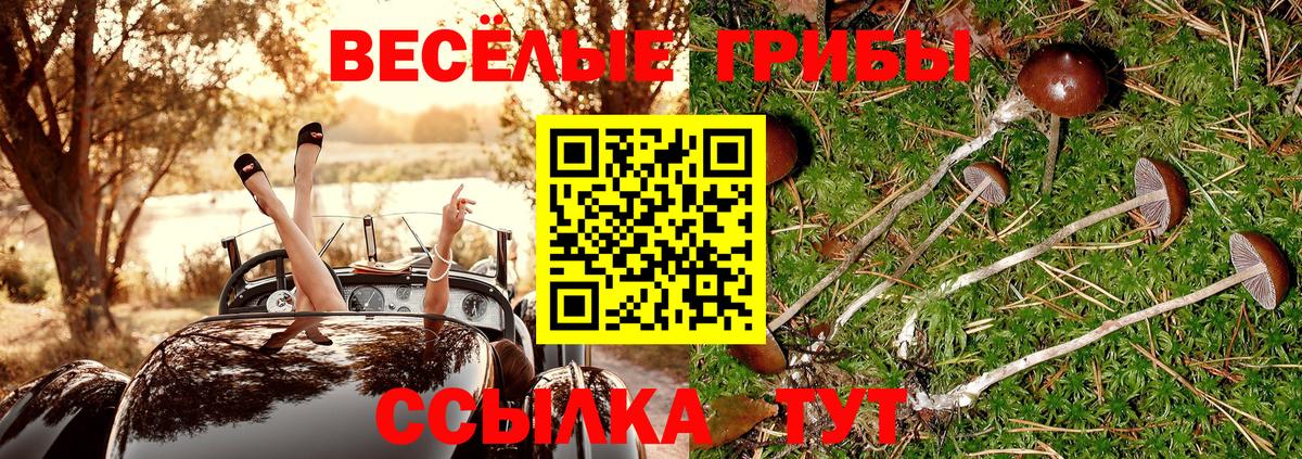Ефремов  даркнет сайт  Галлюциногенные грибы ЛСД  Вход с VPN  Псилоцибиновые грибы Psilocybine cubensis 