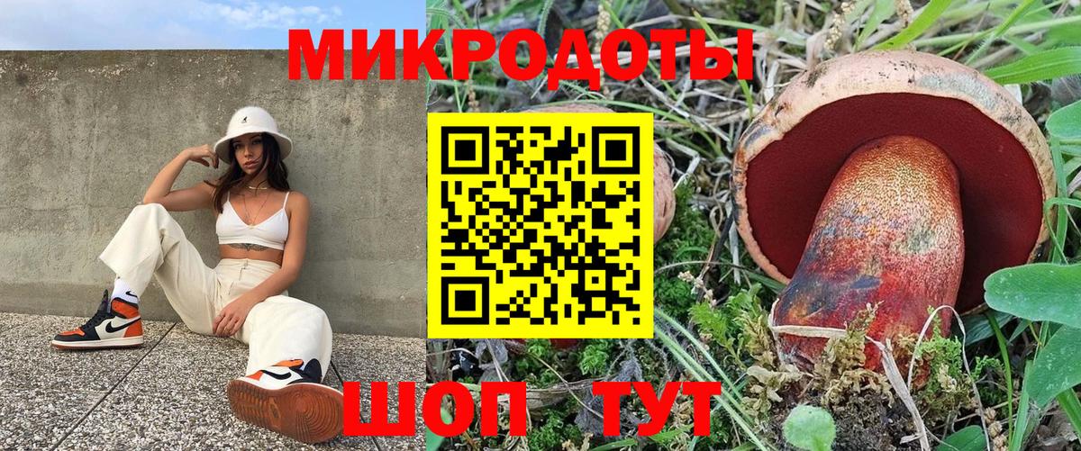 Псилоцибиновые грибы Psilocybine cubensis Ефремов